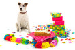 Birthday dog Birthday dog