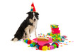 Birthday dog Birthday dog