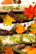 Herbst