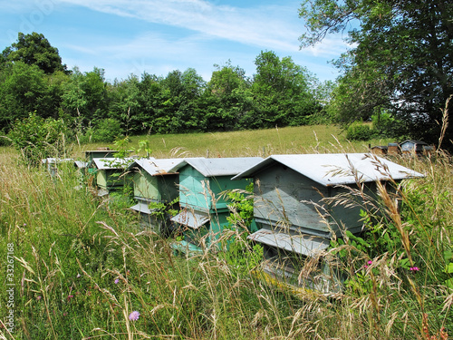 Foto: ruche,abeilles,miel,campagne,nature,fleurs ruche,abeilles,miel,campagne,nature,fleurs