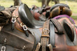 horse saddle