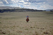 man and horse