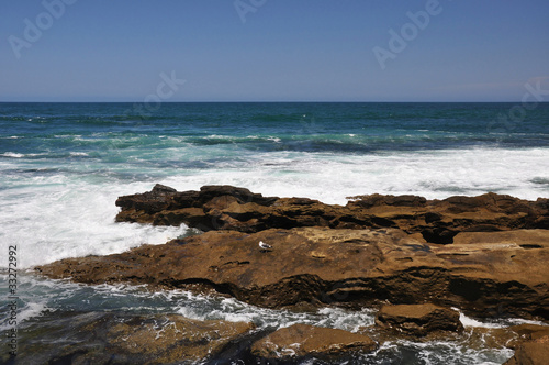 Photo: Rugged La Jolla coastline Rugged La Jolla coastline