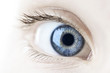 Photo: Eye closeup Eye closeup