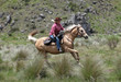 Foto: female horse rider female horse rider