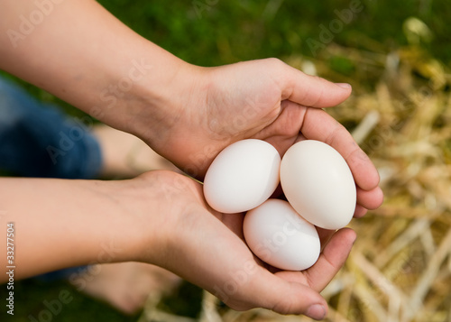 Photo: Fresh Eggs Fresh Eggs