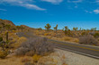 Desert Road