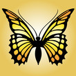 Vektor: Butterfly Butterfly