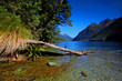 Lake in Milford Sound