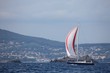 Segelboot mit Spinnaker