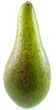 avocat