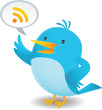 Blue Bird talk