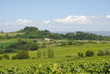 toscana