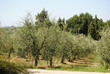 toscana