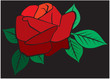 Red rose