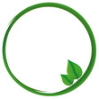 organic frame