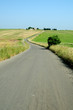 STRADINE DI CAMPAGNA IN MOLISE