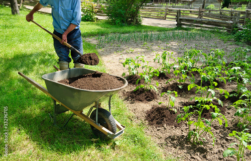 Photo: Growing Potatoes Growing Potatoes