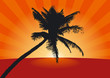 Palme
