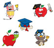 Graduation-Vector Collection