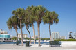 Green metal benches at the Sarasota Marina, Sarasota, FL. Green metal benches at the Sarasota Marina, Sarasota, FL.
