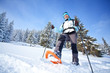 Hiker walks in snow forest