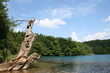Plitvicer Seen Weltkulturerbe