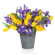 Iris şi Tulip Flori