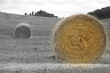 Tuscan vintage