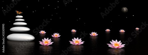 Illustration: Zen night Zen night
