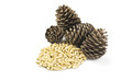 Pine nuts on a white background..