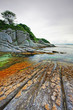 rocky shore