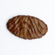 Chocolate covered biscuit
