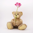 Photo: Cute cilly looking toy bear with flower Cute cilly looking toy bear with flower