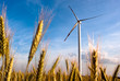 Foto: ein Windrad auf dem Feld ein Windrad auf dem Feld