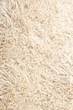 White sheep fur background