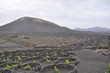 Weinanbau im Tal La Geria auf Lanzarote