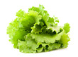 lettuce leaves