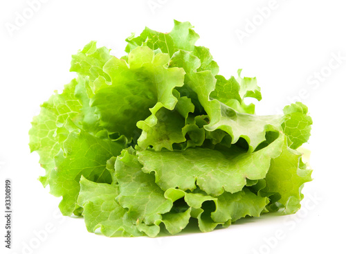 Photo: lettuce leaves lettuce leaves