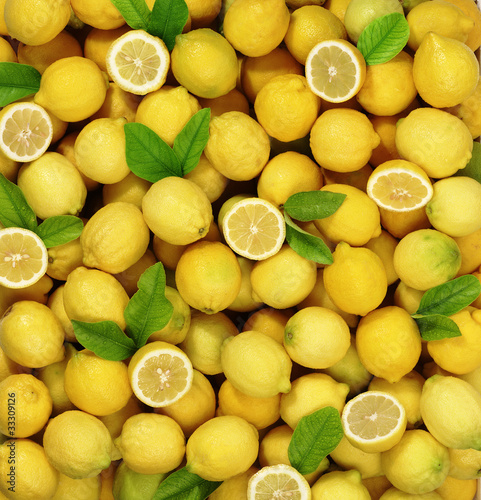 Photo: limoni limoni
