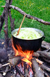 Cauldron with cabbage on outdoor camping