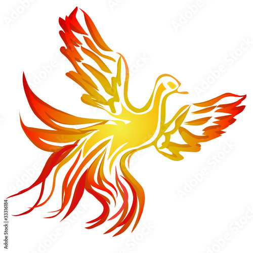 Vektor: phoenix phoenix
