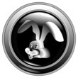 rabbit black button