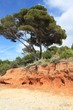 Strand auf der französischen Insel Porquerolles Strand auf der französischen Insel Porquerolles