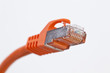 lankabel orange