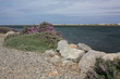 Gruissan_081 Gruissan_081