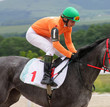Foto: The jockeys. The jockeys.