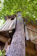 Foto: Cabane, chalet, construction, nature, écologie, durable, bois Cabane, chalet, construction, nature, écologie, durable, bois
