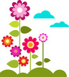summer meadow with flowers and clouds