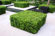 Photo: Green garden Green garden